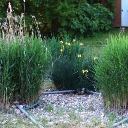 Appartement Neuf & Ecologique A La Campagne Marzens Luaran gambar