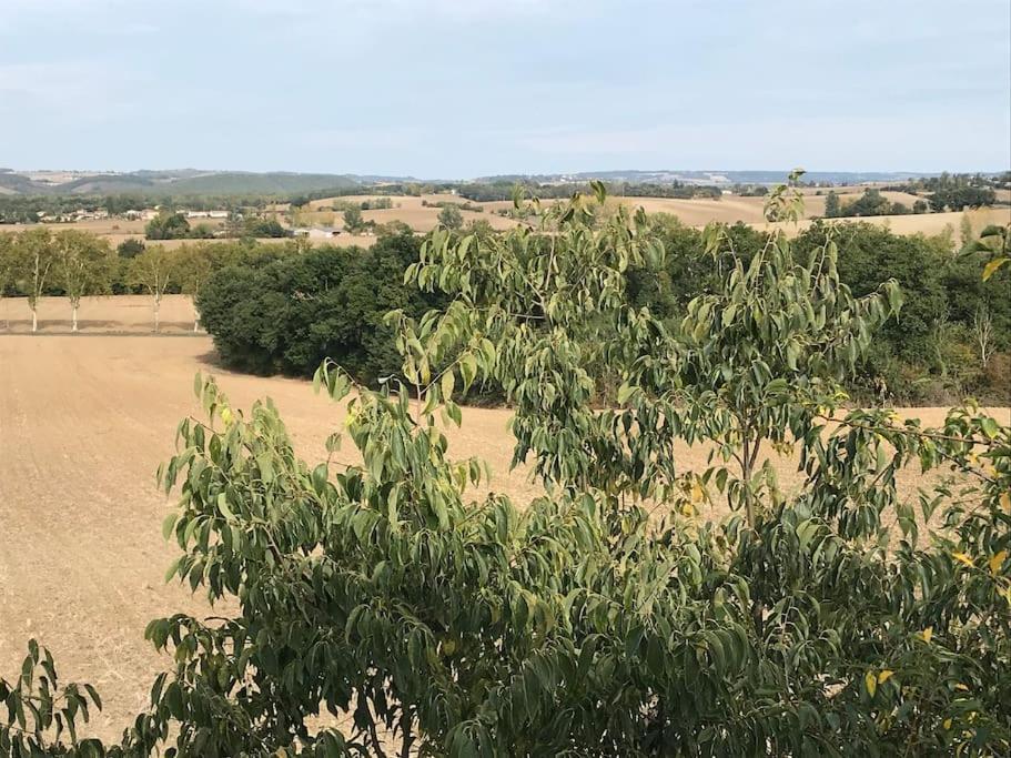 Appartement Neuf & Ecologique A La Campagne Marzens Luaran gambar